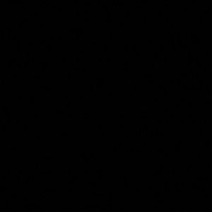 Meet your Posher, Annette